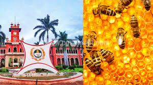 'வெற்றி நிச்சயம்' திட்டத்தில் இலவச தேனீ வளர்ப்பு பயிற்சி / Free beekeeping training